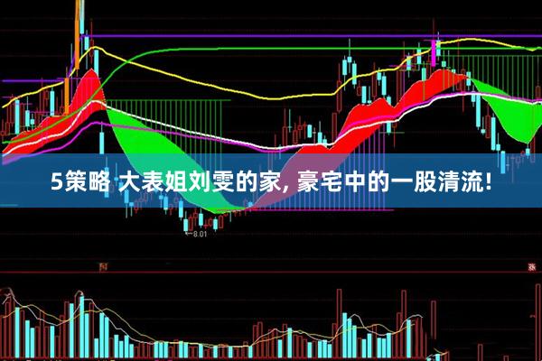 5策略 大表姐刘雯的家, 豪宅中的一股清流!