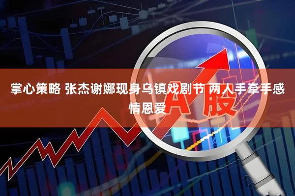 掌心策略 张杰谢娜现身乌镇戏剧节 两人手牵手感情恩爱