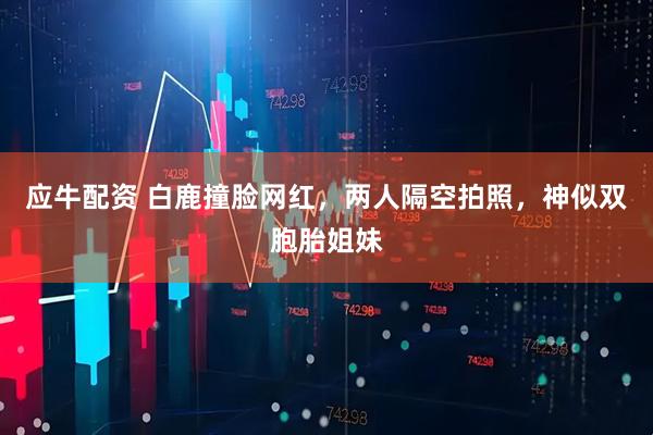 应牛配资 白鹿撞脸网红，两人隔空拍照，神似双胞胎姐妹