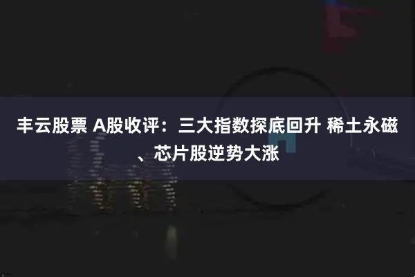 丰云股票 A股收评：三大指数探底回升 稀土永磁、芯片股逆势大涨